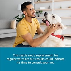 Purina Petivity At-Home Kidney Health Test for Dogs, 3 count slide 2 of 5