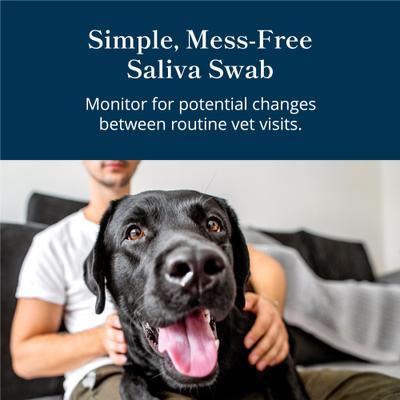 Show full view: Purina Petivity At-Home Kidney Health Test for Dogs, 3 count slide 5 of 7