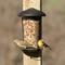Show in main carousel: Perky-Pet Wall & Post Mount Wild Bird Feeder, 1.1-lb slide 5 of 8