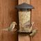 Show in main carousel: Perky-Pet Wall & Post Mount Wild Bird Feeder, 1.1-lb slide 7 of 8