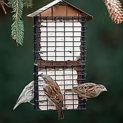 More Birds Four Cake Suet Buffet Bird Feeder slide 2 of 4