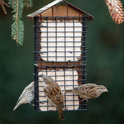 Show full view: More Birds Four Cake Suet Buffet Bird Feeder slide 2 of 4
