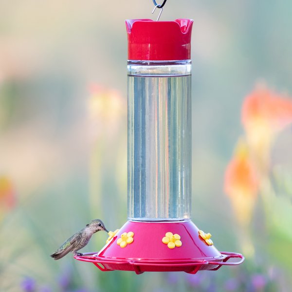 Perky-Pet Our Best Glass Hummingbird Feeder, 30-oz