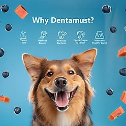 Pawfect Dentamust Himalayan Cheese Chew Large All Natural High-Protein Grain-Free with Blueberry Blue Sipirulina Papaya Clove Extract & Cinnamon Extract Dental Dog Treat, 4.94-oz slide 2 of 7