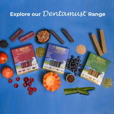 Show full view: Pawfect Dentamust Himalayan Cheese Chews Medium All Natural High-Protein Grain-Free with Blueberry Blue Sipirulina Papaya Clove Extract & Cinnamon Extract Dental Dog Treats, 3 count slide 7 of 9