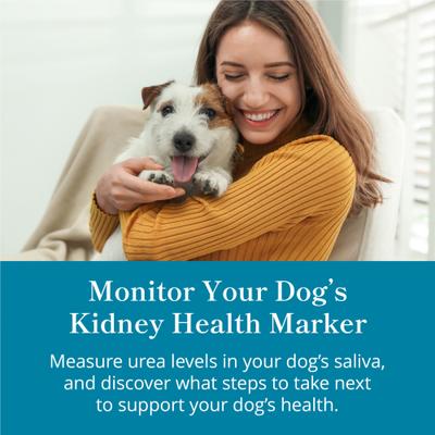 Show full view: Purina Petivity At-Home Kidney Health Test for Dogs, 3 count slide 4 of 7