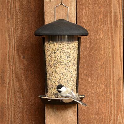 Show full view: Perky-Pet Wall & Post Mount Wild Bird Feeder, 1.1-lb slide 6 of 8