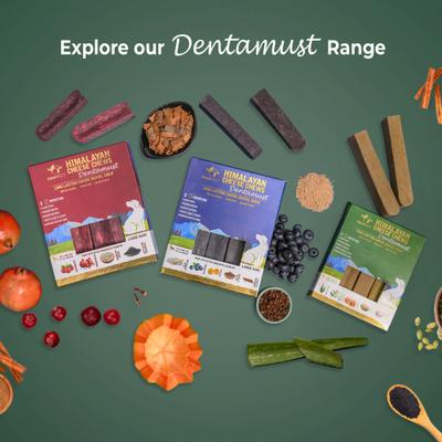 Show full view: Pawfect Dentamust Himalayan Cheese Chew Medium All Natural High-Protein Grain-Free with Aloe Vera Green Tea Extract Honey Fennel & Sesame Seeds Dental Dog Treat, 2.46-oz slide 7 of 9