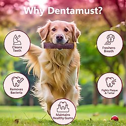 Pawfect Dentamust Himalayan Cheese Chew Medium All Natural High-Protein Grain-Free with Cranberry Pomengranate Pumpkin seeds & Activated Charcoal Dental Dog Treat, 2.46-oz slide 2 of 7
