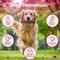 Show in main carousel: Pawfect Dentamust Himalayan Cheese Chew Medium All Natural High-Protein Grain-Free with Cranberry Pomengranate Pumpkin seeds & Activated Charcoal Dental Dog Treat, 2.46-oz slide 5 of 9
