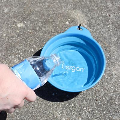 Show full view: Bergan Collapsible Travel Dog & Cat Bowl slide 5 of 9