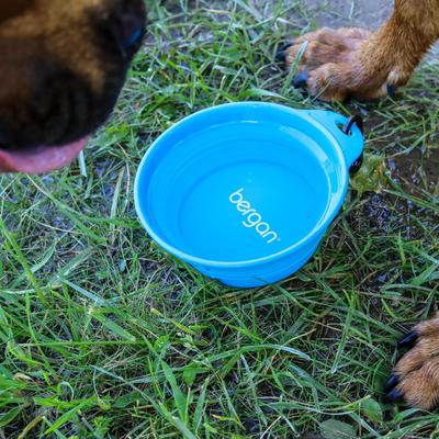 Show full view: Bergan Collapsible Travel Dog & Cat Bowl slide 6 of 9