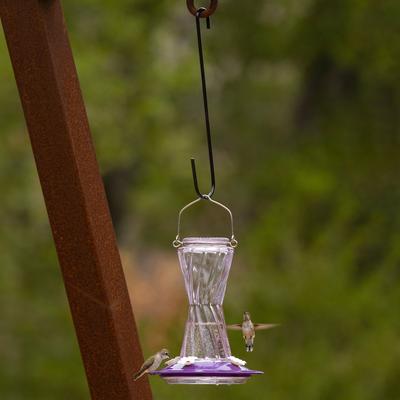 Show full view: More Birds Extension Bird Feeder Hook, 12-in slide 4 of 9