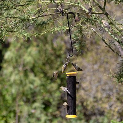 Show full view: More Birds Extension Bird Feeder Hook, 12-in slide 6 of 9