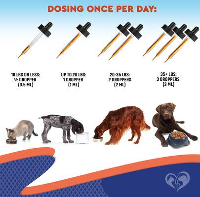 Show full view: Beloved Pets Probiotics & Prebiotics with Enzymes Liquid Supplement for Digestive Support in Dogs & Cats, 2-fl oz bottle slide 6 of 9