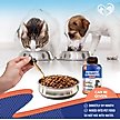 Show in main carousel: Beloved Pets Probiotics & Prebiotics with Enzymes Liquid Supplement for Digestive Support in Dogs & Cats, 2-fl oz bottle slide 4 of 8