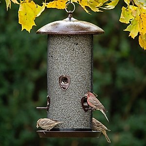 More Birds Giant Combo Screen Bird Feeder