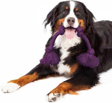 Show full view: Playology Dri-Tech Rope Dog Toy, Mega, Bacon slide 3 of 9