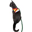 Show in main carousel: Travel Cat The True Adventurer Reflective Cat & Kitten Harness & Leash, Rainbow, Large slide 7 of 9