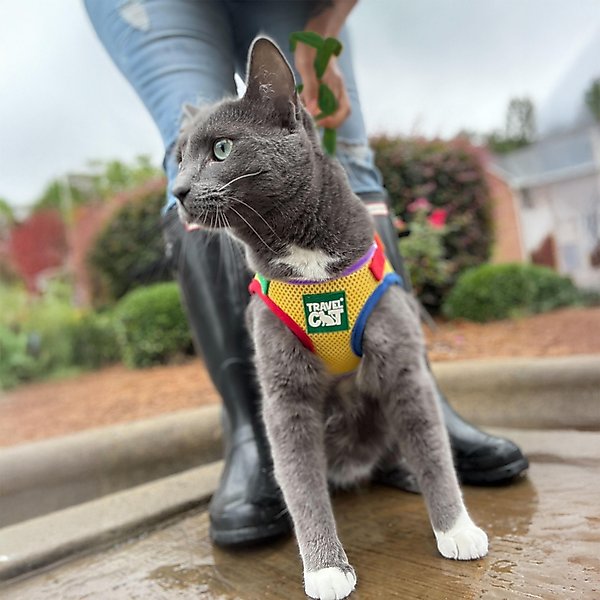 Show full view: Travel Cat The True Adventurer Reflective Cat & Kitten Harness & Leash, Rainbow, Large slide 2 of 9