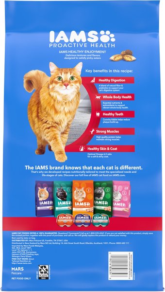 Which Cat Foods Support Immun Health: Top Boosters Revealed