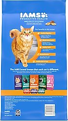 Iams Proactive Health Healthy Enjoyment Immune Support Chicken & Salmon Adult Dry Cat Food, 6-lb bag slide 2 of 8