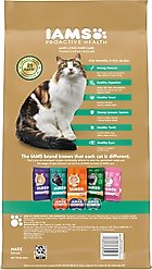Iams Proactive Health Long Hair Care with Real Chicken & Salmon Adult Dry Cat Food, 6-lb bag slide 2 of 8