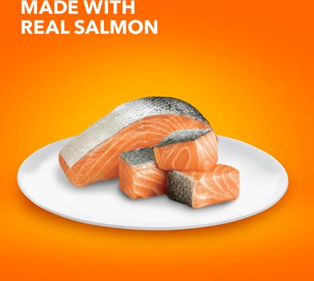 Show full view: Iams ProActive Health Adult Indoor Weight & Hairball Care with Salmon Dry Cat Food, 16-lb bag slide 5 of 10