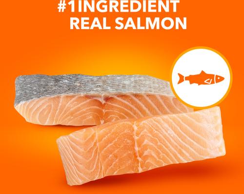 Show full view: Iams ProActive Health Salmon Recipe Adult Dry Cat Food, 16-lb bag slide 5 of 11