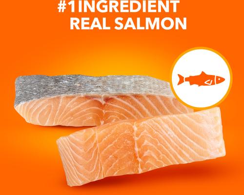 Show full view: Iams ProActive Health Salmon Recipe Adult Dry Cat Food, 7-lb bag slide 5 of 11