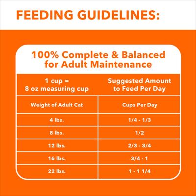 Show full view: Iams ProActive Health Salmon Recipe Adult Dry Cat Food, 3.5-lb bag slide 7 of 11