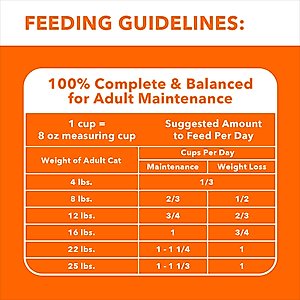 Iams Proactive Health Indoor Weight & Hairball Care Chicken & Turkey Recipe Dry Cat Food, 22-lb bag