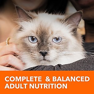 Iams ProActive Health Adult Hairball Care with Chicken & Salmon Dry Cat Food, 16-lb bag