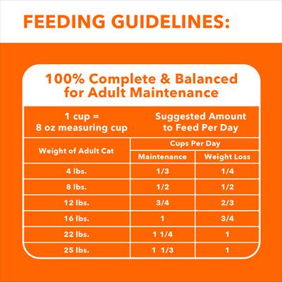 Show full view: Iams ProActive Health Adult Indoor Weight & Hairball Care with Salmon Dry Cat Food, 16-lb bag slide 7 of 10