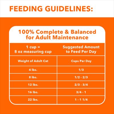 Show full view: Iams Proactive Health Sensitive Digestion & Skin Turkey Dry Cat Food, 13-lb bag slide 7 of 10