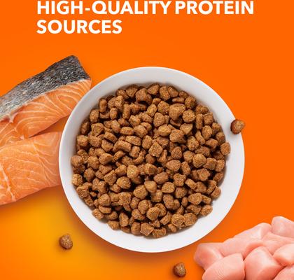 Show full view: Iams ProActive Health Salmon Recipe Adult Dry Cat Food, 16-lb bag slide 9 of 11