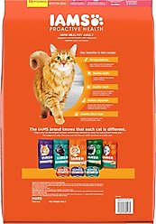 Iams ProActive Health Salmon Recipe Adult Dry Cat Food, 16-lb bag slide 2 of 8