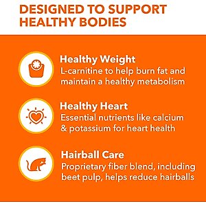 Iams Proactive Health Indoor Weight & Hairball Care Chicken & Turkey Recipe Dry Cat Food, 22-lb bag