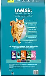 Iams Proactive Health Indoor Weight & Hairball Care Chicken & Turkey Recipe Dry Cat Food, 22-lb bag slide 2 of 8