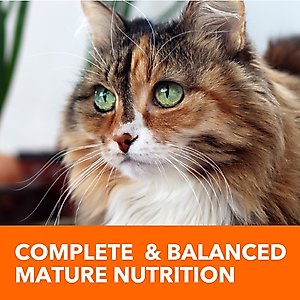 Iams Proactive Health Healthy Senior Chicken Recipe Dry Cat Food, 16-lb bag