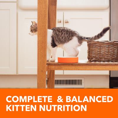 Show full view: Iams Proactive Health Kitten Chicken Recipe Dry Cat Food, 16-lb bag slide 9 of 10