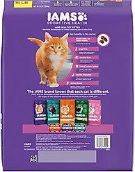 Iams Proactive Health Kitten Chicken Recipe Dry Cat Food, 16-lb bag slide 2 of 8