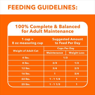 Show full view: Iams Proactive Health Indoor Weight & Hairball Care Chicken & Turkey Recipe Dry Cat Food, 7-lb bag slide 7 of 10