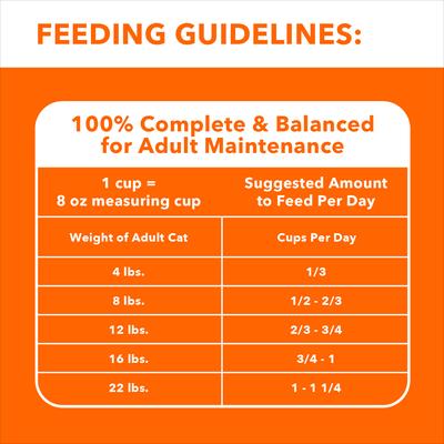 Show full view: Iams Proactive Health Healthy Adult Chicken Recipe Dry Cat Food, 22-lb bag slide 7 of 10