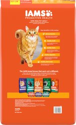 Iams Proactive Health Healthy Adult Chicken Recipe Dry Cat Food, 22-lb bag slide 2 of 8