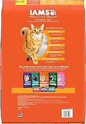Iams Proactive Health Healthy Adult Chicken Recipe Dry Cat Food, 16-lb bag slide 2 of 8