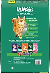 Iams Proactive Health Healthy Senior Chicken Recipe Dry Cat Food, 16-lb bag slide 2 of 8