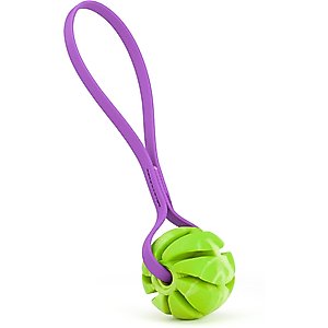 Dogline Spiral Ball with Handle Dog Toy, Green/Purple, 2-in