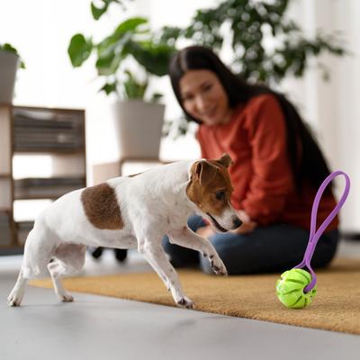 Show full view: Dogline Spiral Ball with Handle Dog Toy, Green/Purple, 2.75-in slide 8 of 8