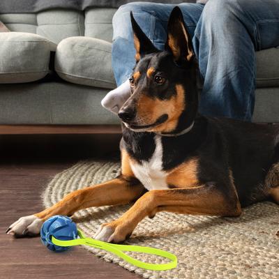 Show full view: Dogline Spiral Ball with Handle Dog Toy, Blue/Yellow, 2-in slide 7 of 8